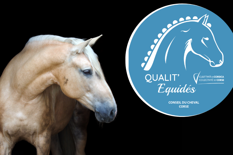 Le Label Qualit'Equidés arrive en Corse !